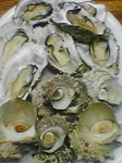 kakiandSazae.jpg
